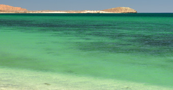 View North from Punta Lupona