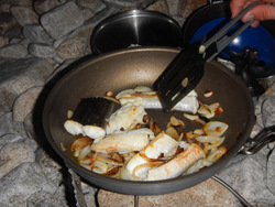 Cornet fish and barracuda for dinner