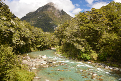 Start of Routeburn track