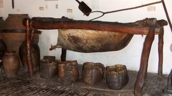 Museo del vino en La Rural