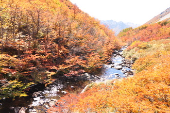 River Casa de Piedra