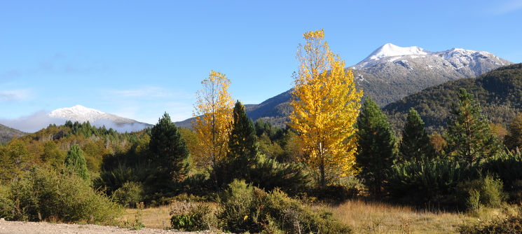 Volcanic cones
