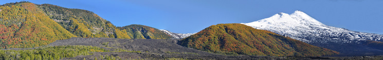 Llaima volcano