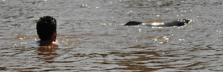 Cèsar nadando con delfines rosados