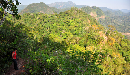 Jungla alrededor de Rurre