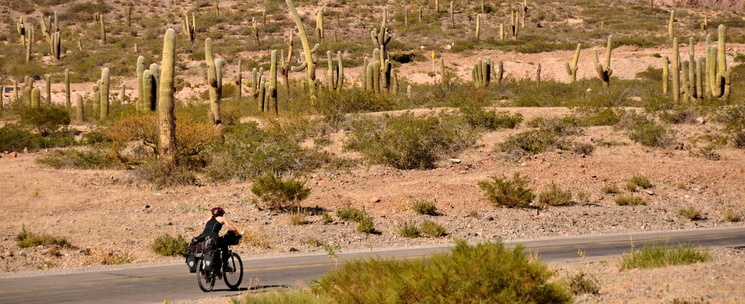 Judit riding among cardones