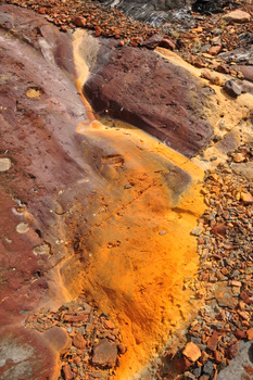 Roca multicolor