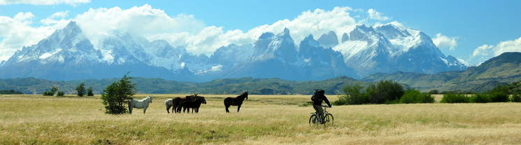 Macizo de Las Torres del Paine y pradera